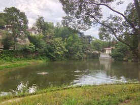 湖边美景