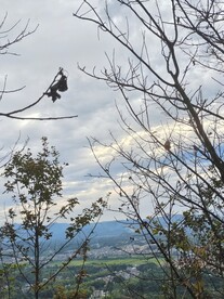 远眺