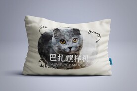 抱枕样机