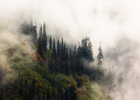 云海山林风景