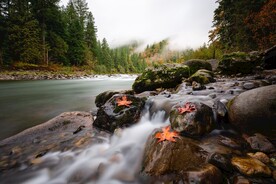 山林河流风景