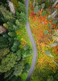 航拍山林道路