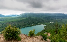树林湖景