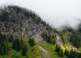 云海山林风景