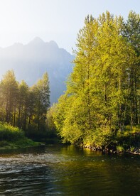 山林河景