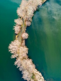 航拍湖中小路