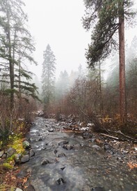 山林河流风景