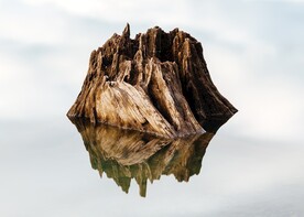 木桩素材