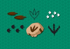 脚印矢量图图片