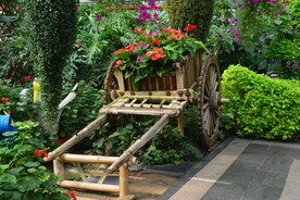 温室花草风景 