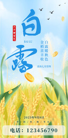 白露海报