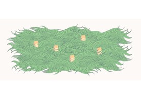 草插画