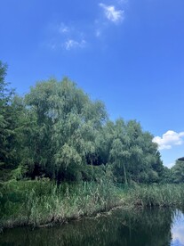 公园景观