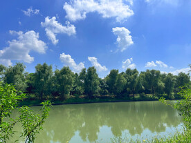 公园河流