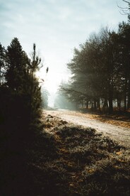 路