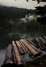 水上漂浮的木头