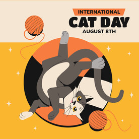 猫在地毯上玩耍