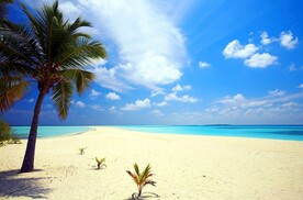 沙滩海景椰子树