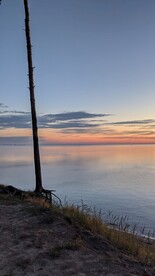 沿岸海景