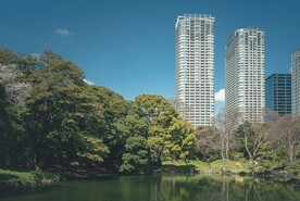 城市绿化