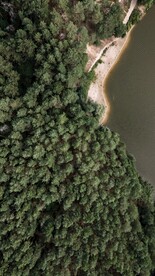 航拍湖边树林