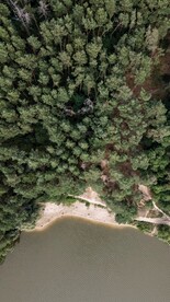 航拍湖边树林
