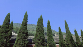 远山蓝天绿树