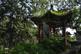 公园风景 