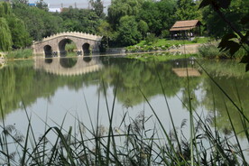 公园风景 