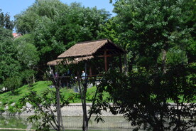 公园风景