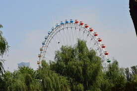 公园风景 