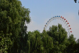 公园风景 
