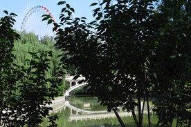 公园风景