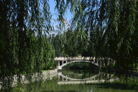 公园风景