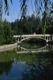 公园风景