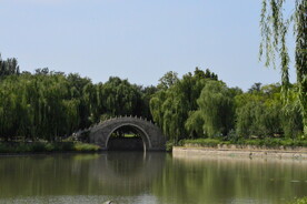 公园风景 
