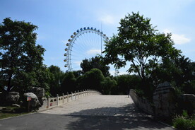 公园风景 