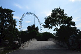 公园风景 