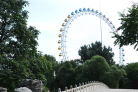 公园风景 