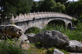 公园风景