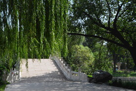 公园风景 