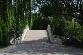 公园风景 