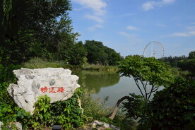 公园风景