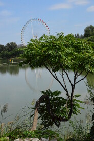 公园风景 