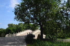 公园风景