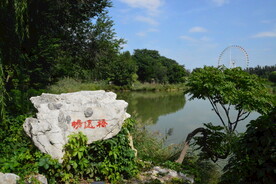 公园风景
