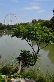公园风景 