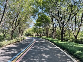 公园
