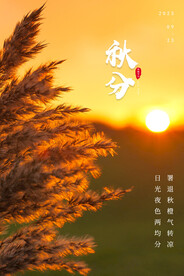 秋分海报           
