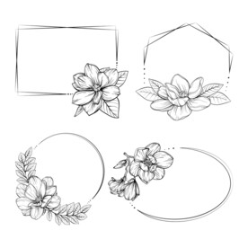 矢量手绘花卉边框